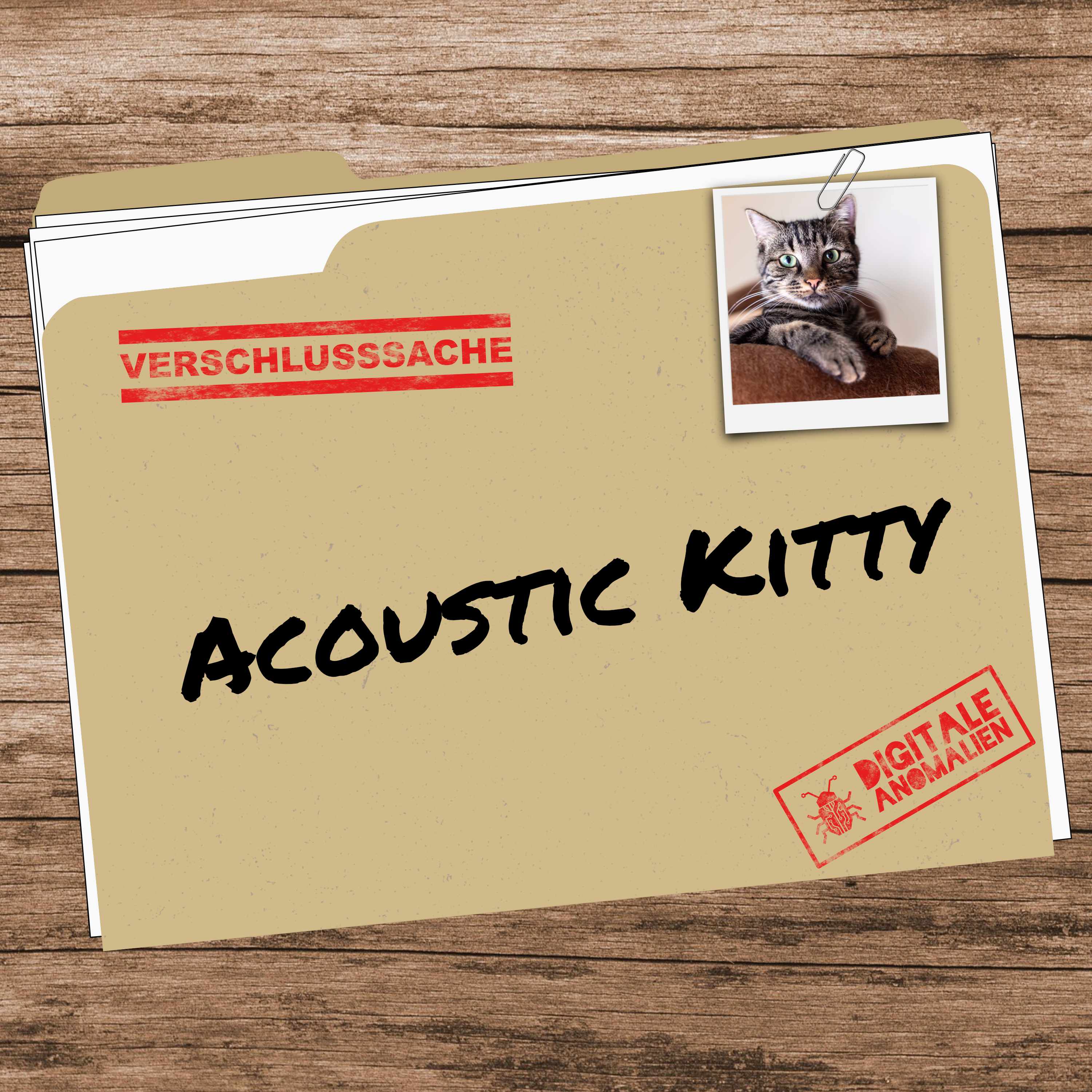 Cover: Acoustic Kitty